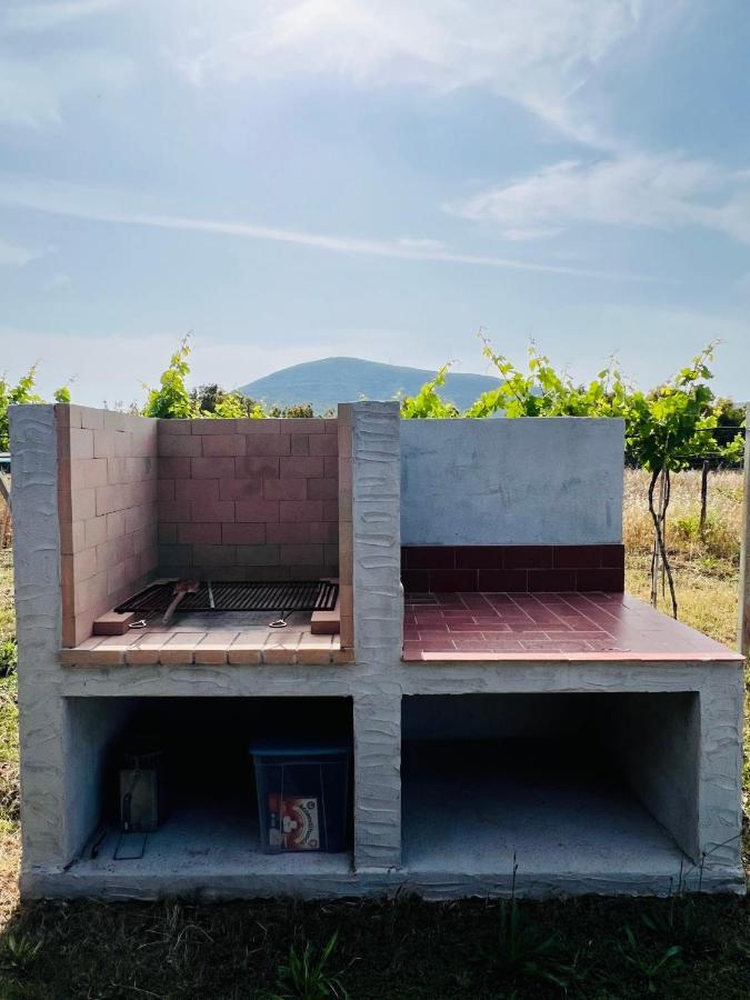 Agriturismo Graziano E Barbara ポルト・コンテ エクステリア 写真