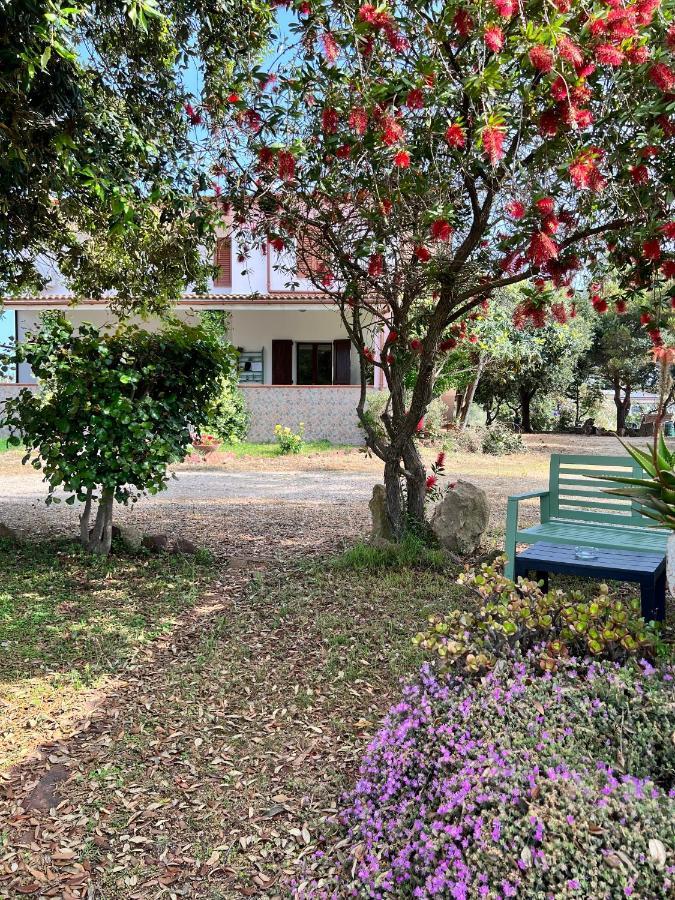 Agriturismo Graziano E Barbara ポルト・コンテ エクステリア 写真