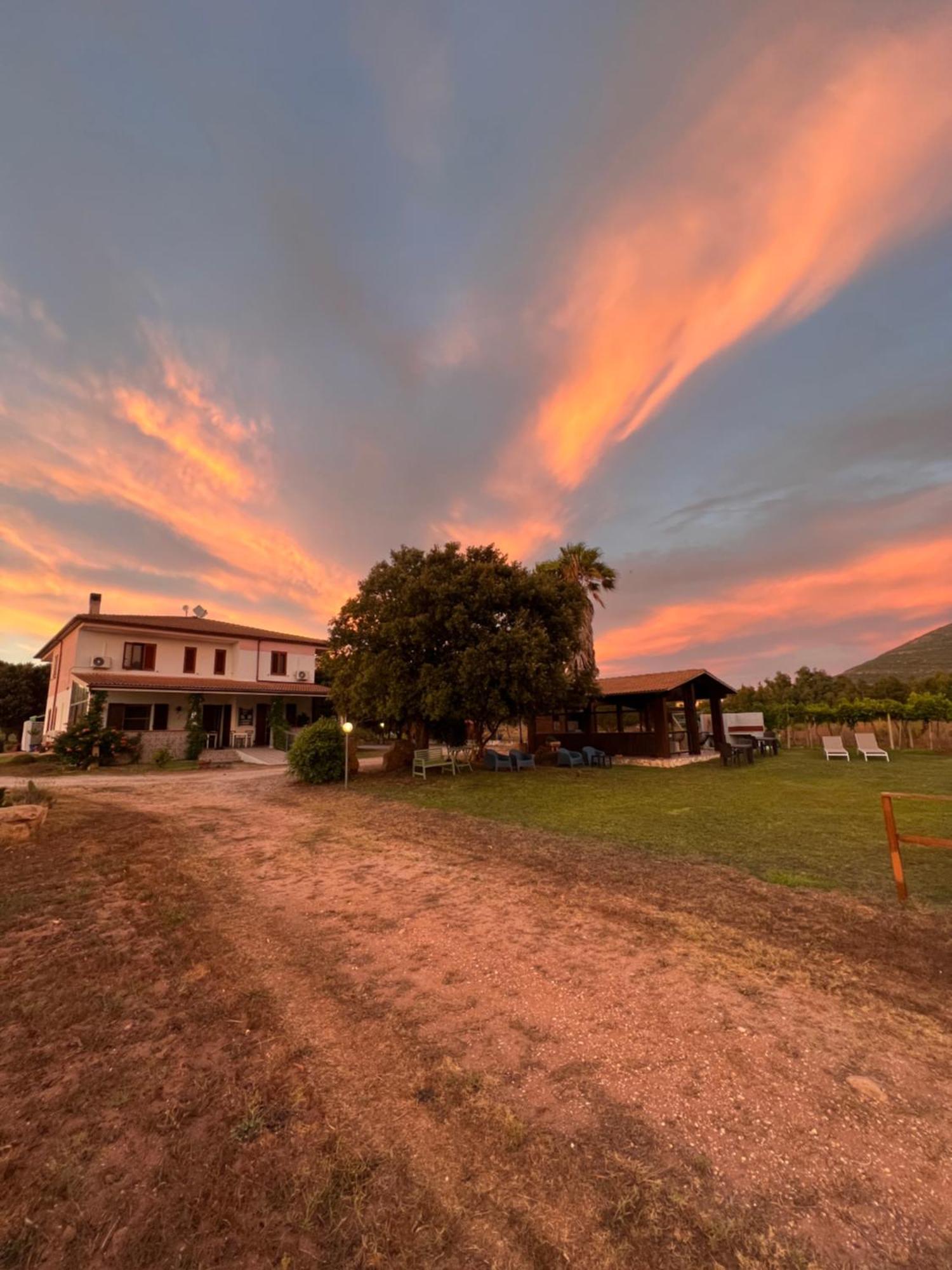Agriturismo Graziano E Barbara ポルト・コンテ エクステリア 写真