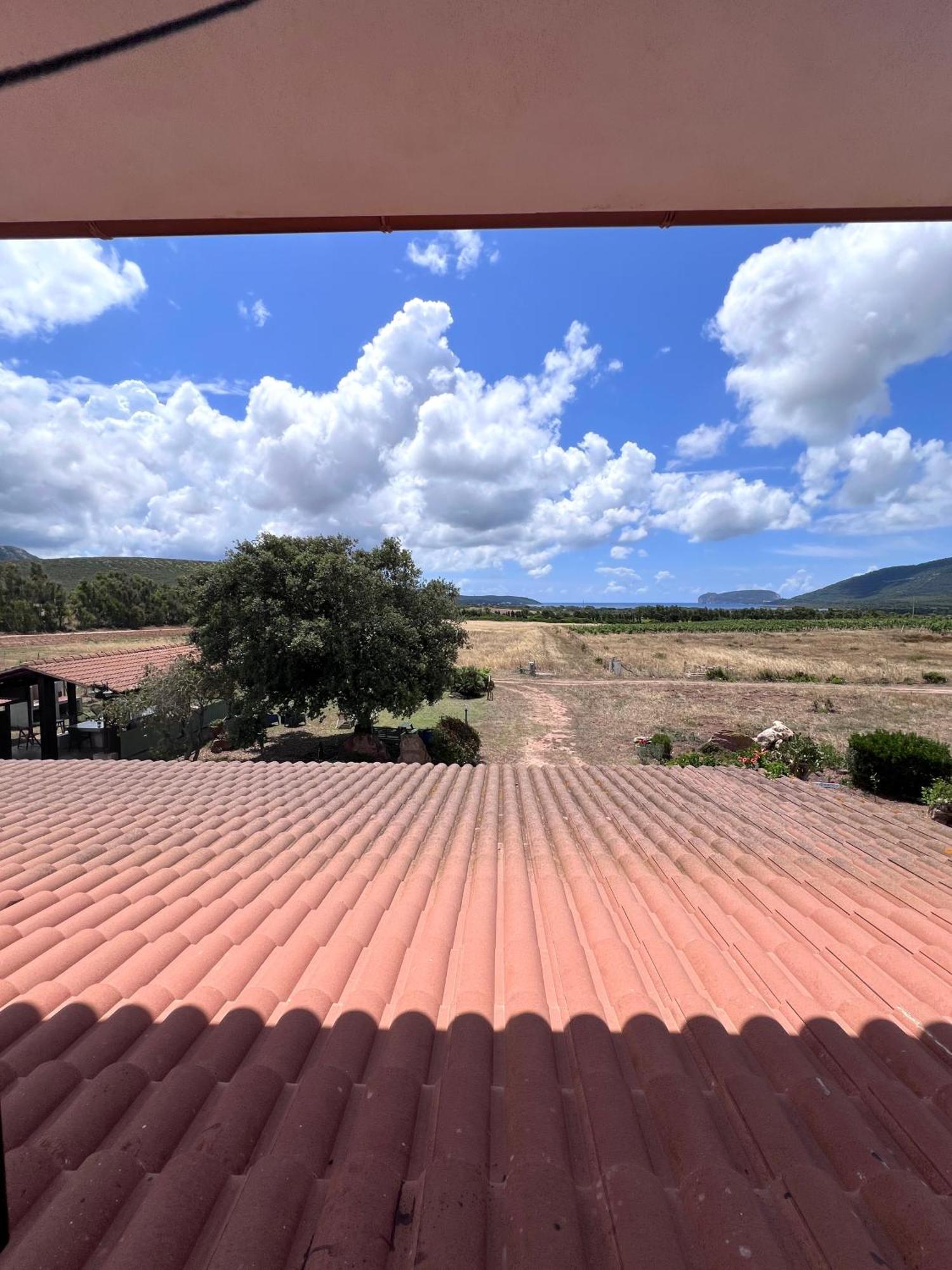 Agriturismo Graziano E Barbara ポルト・コンテ エクステリア 写真
