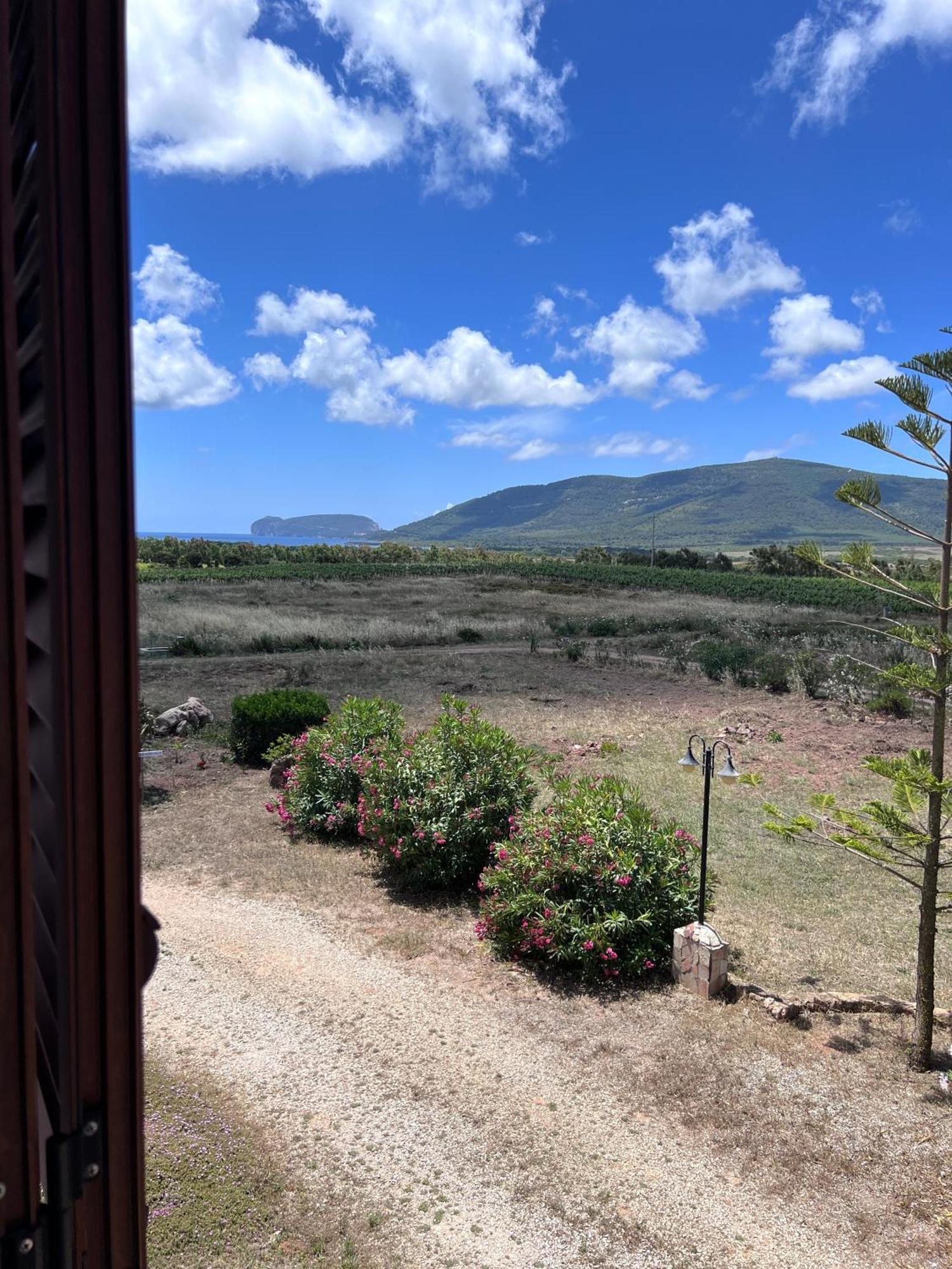 Agriturismo Graziano E Barbara ポルト・コンテ エクステリア 写真